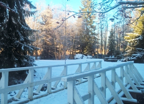 北欧の雪景色